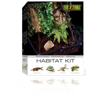 Terrario Rainforest Kit...