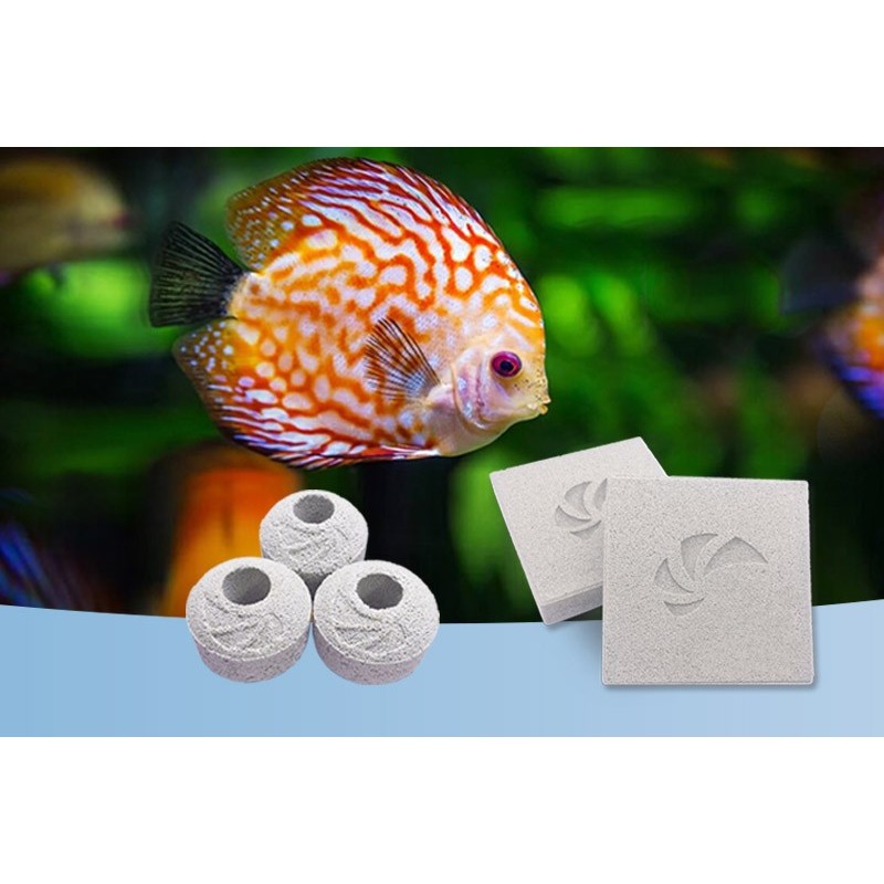 Nano Tech BIO Plugs - 25 Basette Per Talee Di Corallo Per Acquario Marino Reef