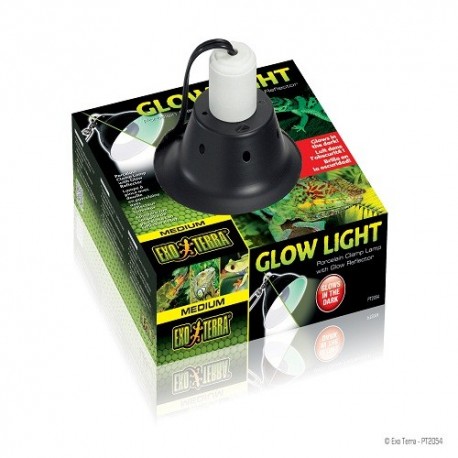 Glow Light Medium