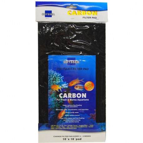 Carbón Activo en esponja 46 x 25 cm
